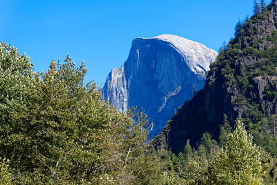 Scenic view of trees against clear blue sky