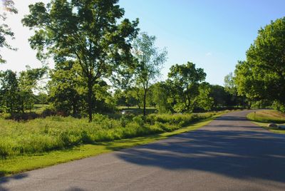 Road amidst trees against sky