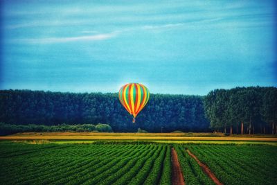 Scenic view of hot air balloons on field against sky