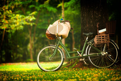 Bicycle parked by tree on field