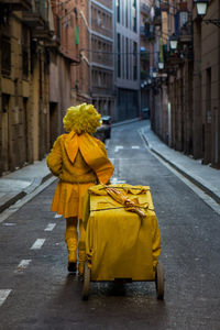 Full length rear view person in costume walking with push cart in alley amidst buildings