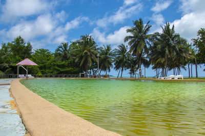 Tourist resort in axim ghana with swimming pool and beautiful beach and nature.