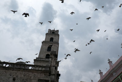 Low angle view of birds flying in building