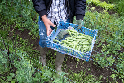 Midsection of man preparing food on field