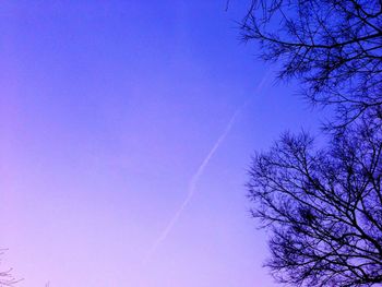 Low angle view of bare tree against blue sky
