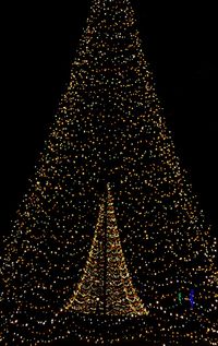 Low angle view of illuminated christmas tree against black background