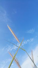 Low angle view of vapor trail against blue sky