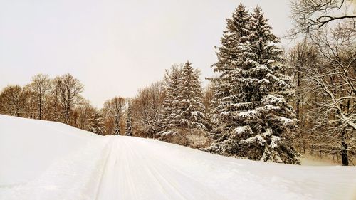 Snow covered road amidst trees against sky