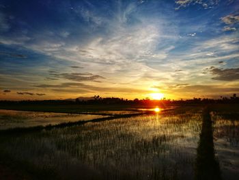 Scenic view of field against sky during sunset