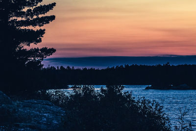 Silhouette of trees at sunset