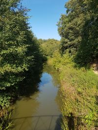 Scenic view of lake in forest against clear sky