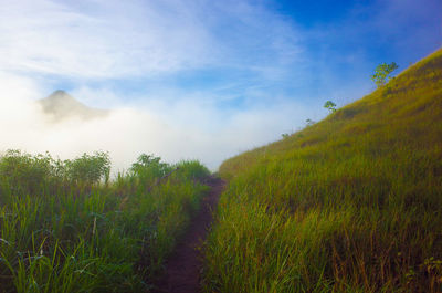 Scenic view of field against cloudy sky