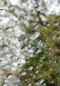 Full frame shot of wet glass