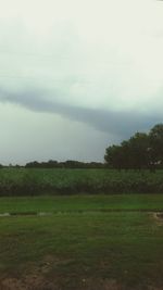 Scenic view of grassy field against sky