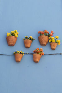 Close-up of flowers on table