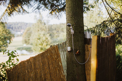 Shower on tree