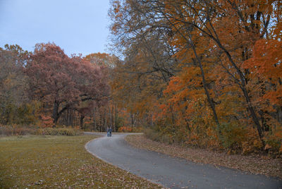 Road amidst trees against sky