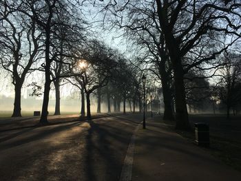 Trees by road against sky during foggy weather