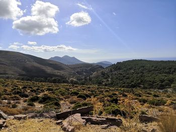 Scenic view of landscape against sky