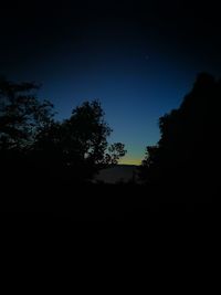 Low angle view of silhouette trees against clear sky at night