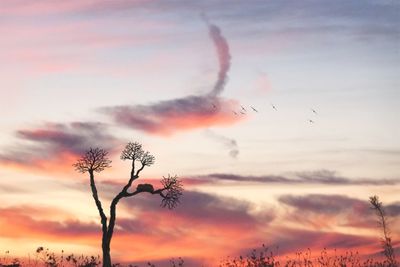 Scenic view of vapor trails in sky
