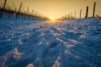 Winter snow road in vineyard landscape with sun star