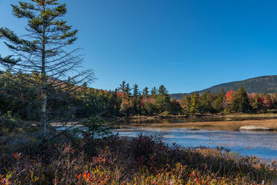 Scenic view of lake against clear blue sky