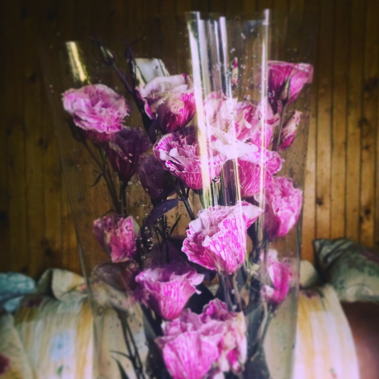 flower, pink color, close-up, freshness, selective focus, fragility, pink, growth, nature, flower head, bunch of flowers, day, petal, beauty in nature, blossom, focus on foreground, large group of objects, in bloom, springtime