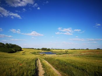 Dirt road amidst field against sky