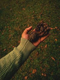 High angle view of person hand on grass