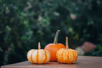 Close-up of pumpkin on table