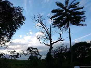 Low angle view of bare trees against cloudy sky