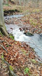 Stream flowing through rocks