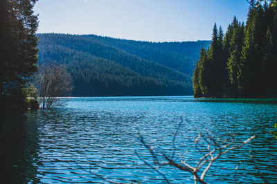 Scenic view of lake against clear sky