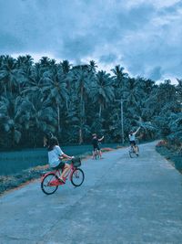 Rear view of friends riding bicycle on road against trees