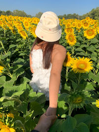 Rear view of woman standing amidst sunflowers holding man hand