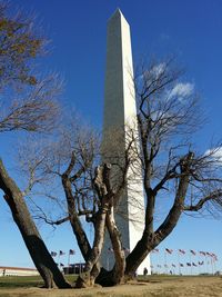 Low angle view of bare tree against blue sky