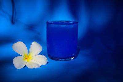Close-up of blue flower against blurred background