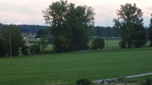 Scenic view of trees on field against sky