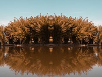 Reflection of trees in lake against sky