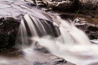 High angle view of stream flowing in forest