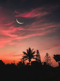 Low angle view of silhouette trees against sky during sunset