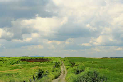 Scenic view of agricultural field against sky