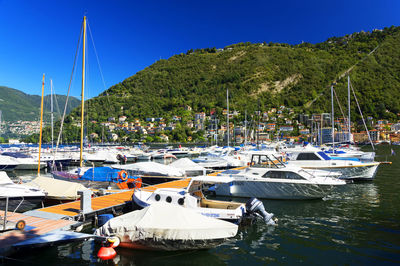 Boats moored in lake against lush foliage