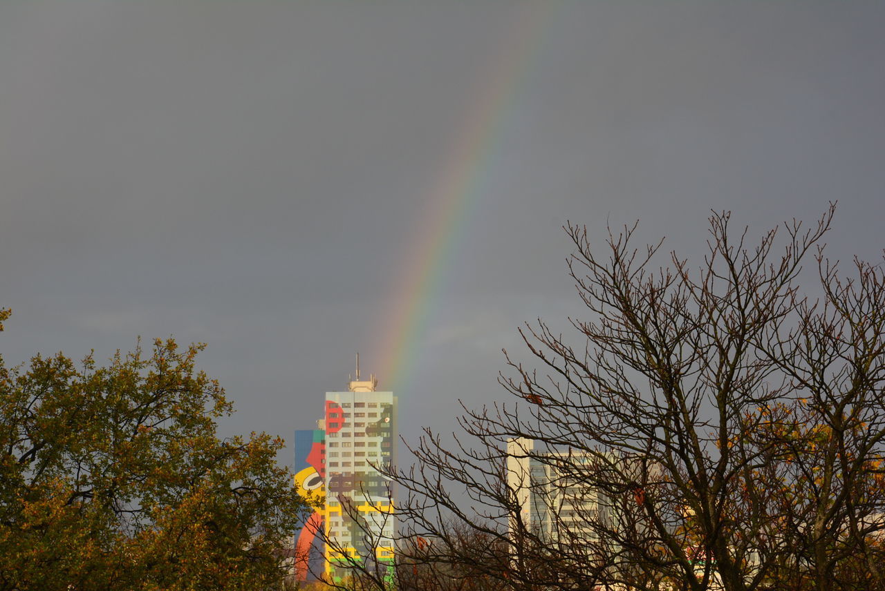 LOW ANGLE VIEW OF RAINBOW OVER TREES AND BUILDINGS AGAINST SKY