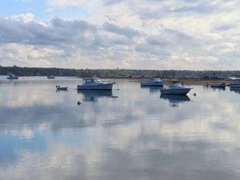 Boats moored in marina against sky