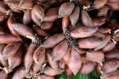 Full frame shot of snake fruits at market