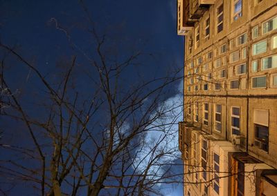 Night sky against the background of a residential building and a tree