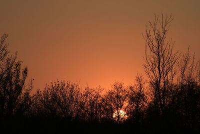 Silhouette trees against sky during sunset