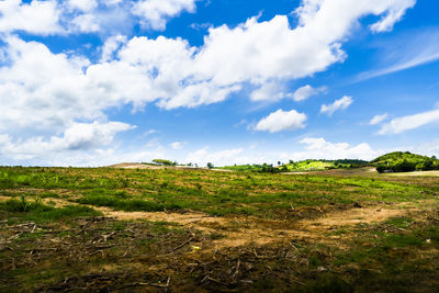 Scenic view of field against sky